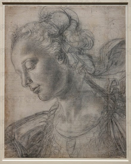 "Young Woman", by Andrea Del Verrocchio