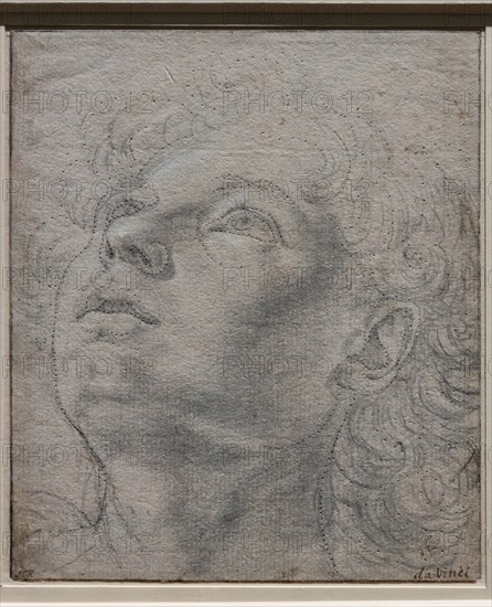 "Head of a Young Man", by Andrea Del Verrocchio