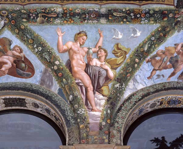 Rome, Villa Farnesina, Loggia of Cupid and Psyche: one vault pendentive depicting Psyche submitting Venus the urn containing the beauty of Proserpine