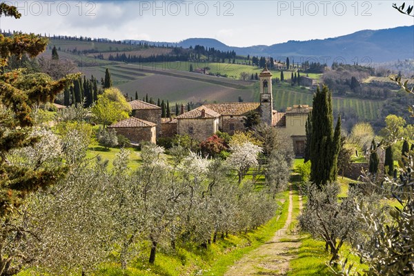 Radda in Chianti