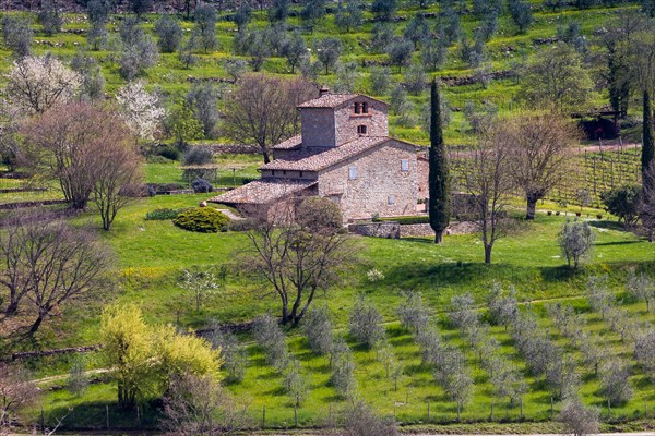 Radda in Chianti