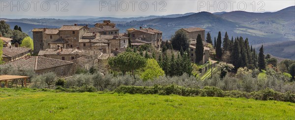 Radda in Chianti, Volpaia