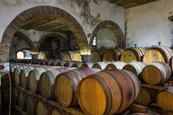 Gaiole in Chianti, Castagnoli