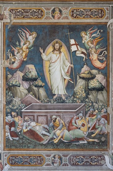 Sacristy of the Basilica di Santa Croce