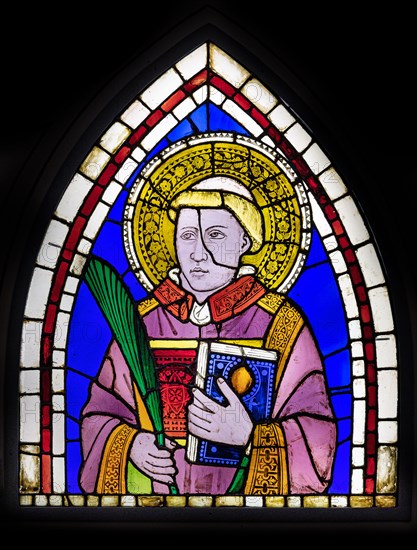 Giotto: ' A Saint Deacon Martyr'