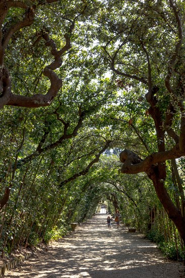 The Boboli Gardens in Florence