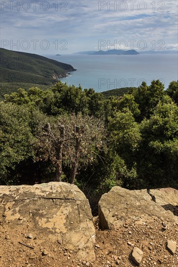 Parc archéologique de Baratti et Populonia