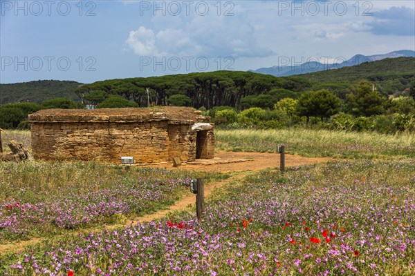 Parc archéologique de Baratti et Populonia