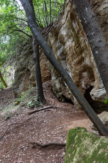 Parc archéologique de Baratti et Populonia