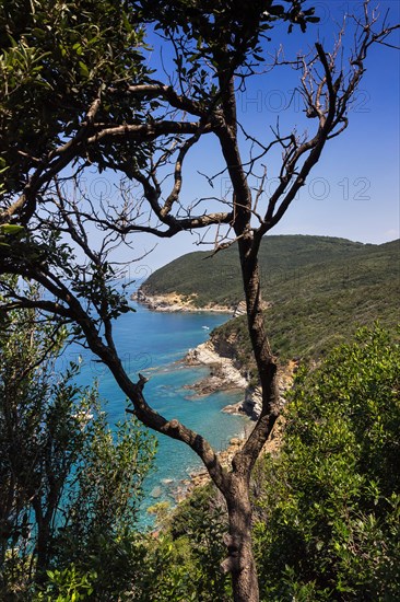 Medieval village of Populonia, Italy