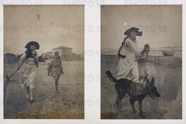 “Ragazza sulla spiaggia con cane"