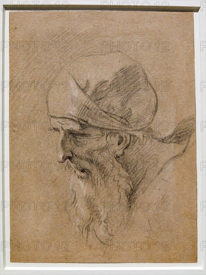 “Head of an Old Man” by Sebastiano Ricci