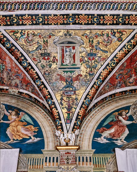 Vault of the Piccolomini Library in Siena