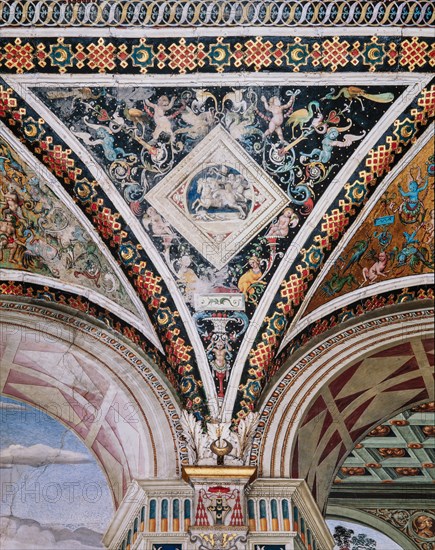 Vault of the Piccolomini Library in Siena