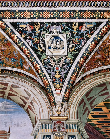 Vault of the Piccolomini Library in Siena