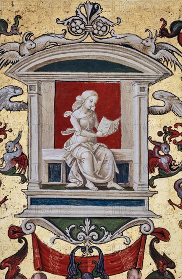 Vault of the Piccolomini Library in Siena