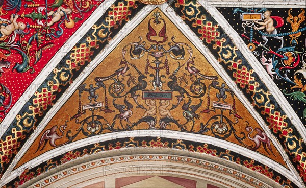 Vault of the Piccolomini Library in Siena