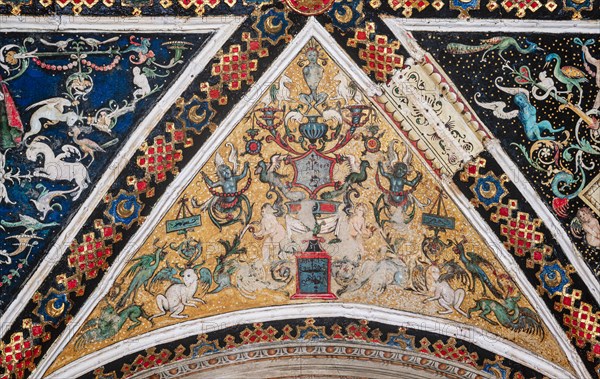 Vault of the Piccolomini Library in Siena