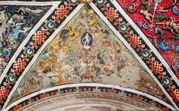 Vault of the Piccolomini Library in Siena