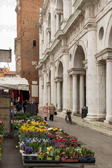 Vicenza, dei Signori Square