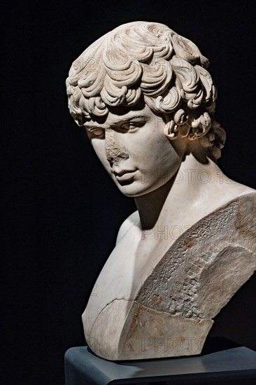 “Bust of Antinous”