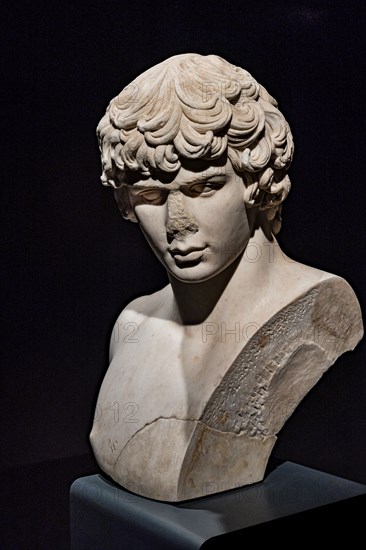 “Bust of Antinous”