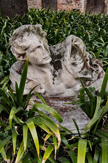 Vicenza: bust of a statue in the courtyard of the Olympic Theatre.