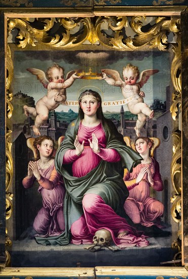 “Madonna delle Grazie”