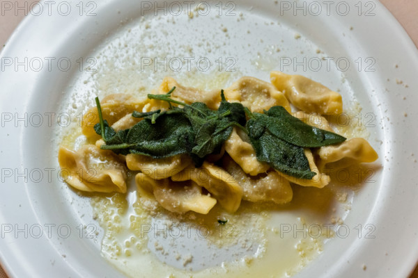 Città alta, Ristorante DAMIMMO, piatto tipico della cucina bergamasca: "Scarpinocc de Par" al burro di malga e salvia.
Bergamo (BG), Lombardia, Italia - Italy