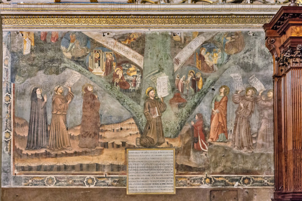 Bergamo, Città alta, Basilica of Santa Maria Maggiore, right transept: "The Tree of Life", fresco following Giotto style, realised in 1347.
Bergamo (BG), Lombardia - Lombardy, Italia - Italy