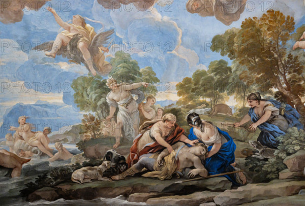 Medici Riccardi Palace, Gallery of Mirrors (or Room Luca Giordano): “Adonis killed by the boar”, detail of the vault.
Frescoes by Luca Giordano, 1682 - 1685.
The boar, sent by Mars, kills Adonis because of his love for Venus (allegory of Spring).
Palazzo Medici Riccardi, Firenze (FI) - Florence, Toscana - Tuscany, Italia - Italy