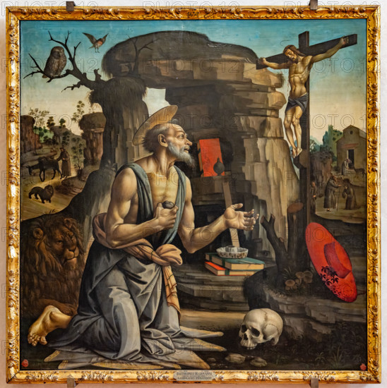 “San Gerolamo penitente nel deserto”, di Bartolomeo di Giovanni, tempera su tavola, 1485-90.

[ENG]
“Saint Jerome penitent in the desert”, by Bartolomeo di Giovanni, tempera on panel, 1485-90.
Chiesa di San Salvi, Museo del C, Firenze (FI) - Florence, Toscana - Tuscany, Italia - Italy