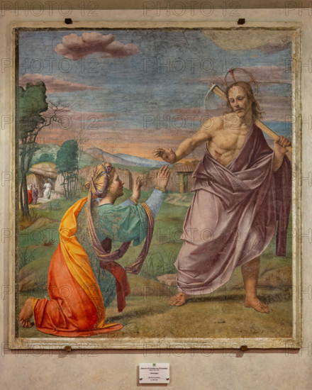 “Noli me Tangere”, di Francesco Cristofano, conosciuto come Franciabigio, affresco staccato, dalla Torre di via Porta Rossa, 1520-25.

[ENG]
“Noli Me Tangere”, by Francesco Cristofano, known as Franciabigio, detached fresco, from the Tower of Porta Rossa street, 1520-25.
Chiesa di San Salvi, Refettorio, Firenze (FI) - Florence, Toscana - Tuscany, Italia - Italy