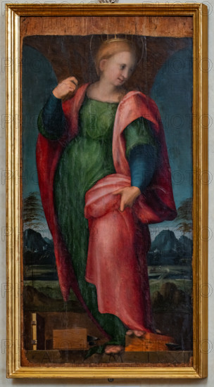 “S. Caterina d’Alessandria”, di Jacopo Carucci detto il Pontormo, 1511-25, olio su tavola.

[ENG]
“St. Catherine of Alexandria”, by Jacopo Carucci  known as Pontormo, 1511-25, oil painting on panel.
Chiesa di San Salvi, Museo del C, Firenze (FI) - Florence, Toscana - Tuscany, Italia - Italy