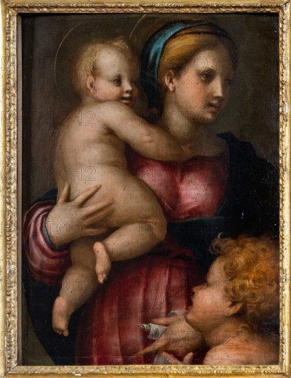“Madonna con Bambino e S. Giovannino”, di Jacopo Carucci detto il Pontormo, 1514-5, dipinto a olio su tavola dalla Villa di Poggio Imperiale. 

[ENG]
“Madonna with Infant Jesus and Infant St. John”, by Jacopo Carucci  known as Pontormo, 1514-5, oil painting on panel from the Villa of Poggio Imperiale.
Chiesa di San Salvi, Museo del C, Firenze (FI) - Florence, Toscana - Tuscany, Italia - Italy