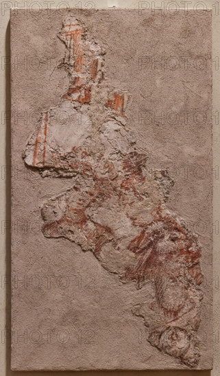 “Dames at the Canopy”, detached wall painting, by Antonio di Puccio, known as Pisanello, 1430 - 3, preserved in the Ducal Palace of Mantua.
Second detached fragment “Lioness with Cubs”, in the Tournament wall.
The two ladies facing a canopied stage are part of the red sinopia design on the north-east wall of the Pisanello room.
Palazzo Ducale, Mantova (MN) - Mantua, Lombardia - Lombardy, Italia - Italy