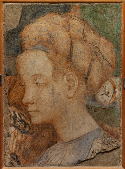 “Female figure”, detached wall painting, by Antonio di Puccio, known as Pisanello, 1430 - 5
The fragment is related to the fresco cycle with Stories of St. John Baptist in the Basilica of S. Giovanni in Laterano a Roma, started by Gentile da Fabriano and finished by Pisanello.
Vive - Vittoriano e Palazzo Vene, Roma (RM) - Rome, Lazio, Italia - Italy