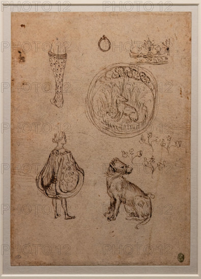 “Various studies: leg, ring, crown, man in contemporary clothes, emblem with dog and flowers”, by Antonio di Puccio, known as Pisanello, brown ink and pen on paper, before 1433.
Musée du Louvre, Parigi - Paris, Francia - France