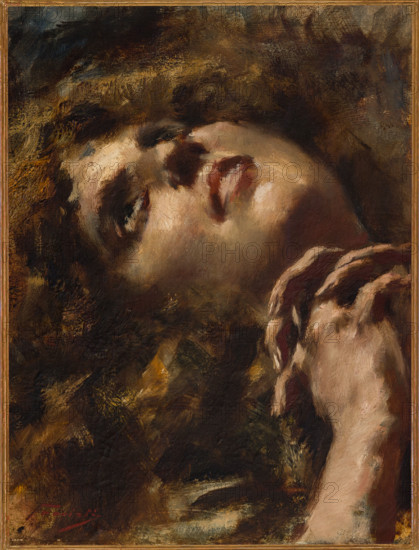 “ Viso femminile” di Gaetano Previati (FE 1852 - 1920).
Olio su tela, cm. 40 x 30.
Collezione Assicoop Unipol, inv. n° 794
Collezione Assicoop - Unipol, Modena (MO), Emilia Romagna, Italia - Italy