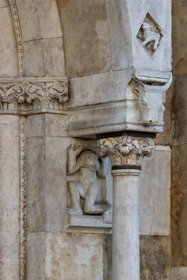 Fidenza, duomo (Cattedrale di San Donnino), facciata, portale sinistro, protiro: telamone, capitello e mensola con bucranio (a destra) .
Opera di Benedetto Antelami e bottega.

[ENG]
Fidenza, duomo (Cathedral of San Donnino), façade, left portal, prothyrum: telamon, capital and corbel with bucranium (right).
Work by Benedetto Antelami and workshop.
Cattedrale di San Donnino, Fidenza (PR), Emilia-Romagna, Italia - Italy