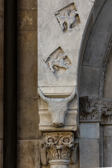 Fidenza, duomo (Cattedrale di San Donnino), facciata, portale sinistro, protiro: telamone, capitello e mensola con bucranio (a sinistra) .
Opera di Benedetto Antelami e bottega.

[ENG]
Fidenza, duomo (Cathedral of San Donnino), façade, left portal, prothyrum: telamon, capital and corbel with bucranium (left).
Work by Benedetto Antelami and workshop.
Cattedrale di San Donnino, Fidenza (PR), Emilia-Romagna, Italia - Italy