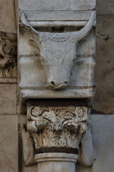 Fidenza, Duomo (Cattedrale di San Donnino), facciata, portale sinistro, protiro; capitello e mensola con bucranio (a destra).
Opera di Benedetto Antelami e bottega.

[ENG]
Fidenza, Duomo (St. Donnino Cathedral),facade, left portal, prothyrum: capital and corbel with bucranium (right)
Work by Benedetto Antelami and workshop.
Cattedrale di San Donnino, Fidenza (PR), Emilia-Romagna, Italia - Italy