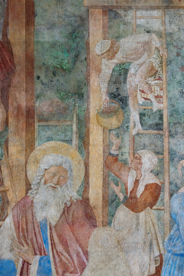 Pisa, Monumental Cemetery: 
 “Grape Harvest and Drunkenness of Noah”, frescoes by Benozzo Gozzoli, 1468/9. 
Detail.
Camposanto Monumentale, Pisa (PI), Toscana - Tuscany, Italia - Italy