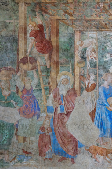 Pisa, Monumental Cemetery: 
 “Grape Harvest and Drunkenness of Noah”, frescoes by Benozzo Gozzoli, 1468/9.
Camposanto Monumentale, Pisa (PI), Toscana - Tuscany, Italia - Italy