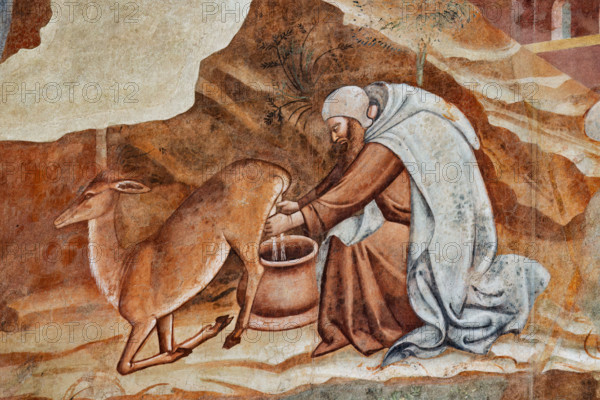 Pisa, Camposanto monumentale: ”Trionfo della Morte”, particolare degli affreschi di Buonamico Buffalmacco, 1336/1341. Dettaglio con  descrizione della vita eremitica (mungitura).

[ENG]
Pisa, Monumental Cemetery: "Triumph of Death," detail of the frescoes by Buonamico Buffalmacco, 1336/1341. Detail with description of the hermit life (milking).
Camposanto Monumentale, Pisa (PI), Toscana - Tuscany, Italia - Italy