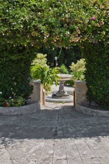 Palermo, Palazzo Reale o Palazzo dei Normanni, lato sud ovest, i giardini del Bastione di San Pietro: passaggio in una siepe.

[ENG]
Palermo, The Royal Palace or Palazzo dei Normanni (Palace of the Normans), the South West side, the gardens of the St. Peter Bastion: passage in a hedge.
Palazzo Reale (Palazzo dei Norma, Palermo (PA), Sicilia - Sicily, Italia - Italy