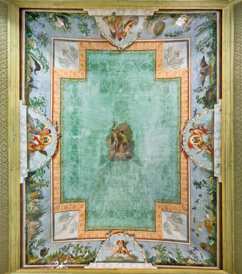 Palermo, Palazzo Reale o Palazzo dei Normanni, Appartamento Reale, Sala   degli Uccelli: veduta della volta affrescata.

[ENG]
Palermo, The Royal Palace or Palazzo dei Normanni (Palace of the Normans), The Royal Apartment, the Birds Room: view of the frescoed vault.
Palazzo Reale (Palazzo dei Norma, Palermo (PA), Sicilia - Sicily, Italia - Italy