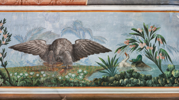 Palermo, Palazzo Reale o Palazzo dei Normanni, Appartamento Reale, Sala   degli Uccell, volta affrescata: dettaglio un'aquila e una coppia di germani nello stagno.

[ENG]
Palermo, The Royal Palace or Palazzo dei Normanni (Palace of the Normans), The Royal Apartment, the Birds Room, the frescoed vault: detail with an eagle and a couple of mallards in the pond.
Palazzo Reale (Palazzo dei Norma, Palermo (PA), Sicilia - Sicily, Italia - Italy