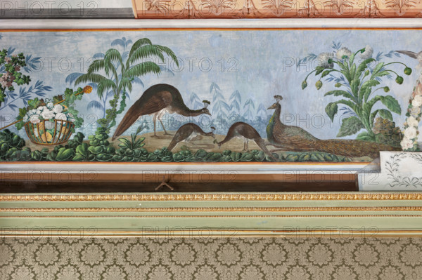 Palermo, Palazzo Reale o Palazzo dei Normanni, Appartamento Reale, Sala   degli Uccell, volta affrescata: dettaglio con pavoni e fiori.

[ENG]
Palermo, The Royal Palace or Palazzo dei Normanni (Palace of the Normans), The Royal Apartment, the Birds Room, the frescoed vault: detail with peacocks and flowers.
Palazzo Reale (Palazzo dei Norma, Palermo (PA), Sicilia - Sicily, Italia - Italy