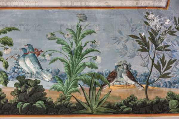 Palermo, Palazzo Reale o Palazzo dei Normanni, Appartamento Reale, Sala   degli Uccell, volta affrescata: dettaglio con colombe e fiori.

[ENG]
Palermo, The Royal Palace or Palazzo dei Normanni (Palace of the Normans), The Royal Apartment, the Birds Room, the frescoed vault: detail with doves and flowers.
Palazzo Reale (Palazzo dei Norma, Palermo (PA), Sicilia - Sicily, Italia - Italy